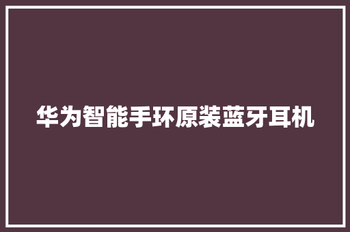 华为智能手环原装蓝牙耳机