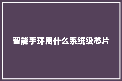 智能手环用什么系统级芯片  第1张