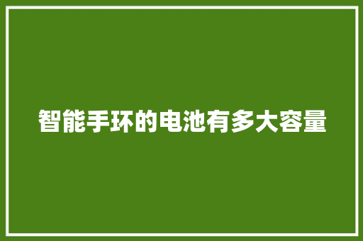 智能手环的电池有多大容量