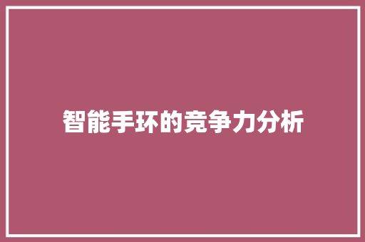 智能手环的竞争力分析