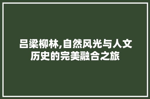 吕梁柳林,自然风光与人文历史的完美融合之旅