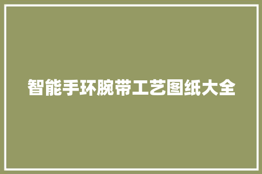 智能手环腕带工艺图纸大全