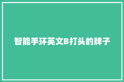 智能手环英文B打头的牌子