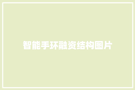 智能手环融资结构图片