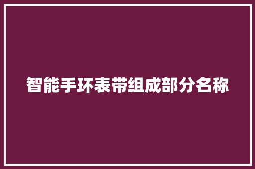 智能手环表带组成部分名称