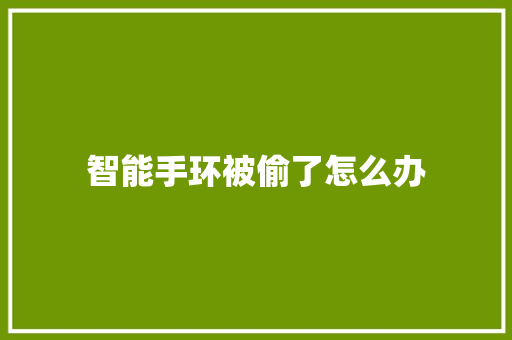 智能手环被偷了怎么办