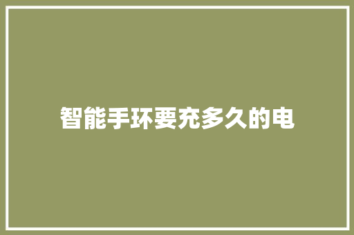 智能手环要充多久的电