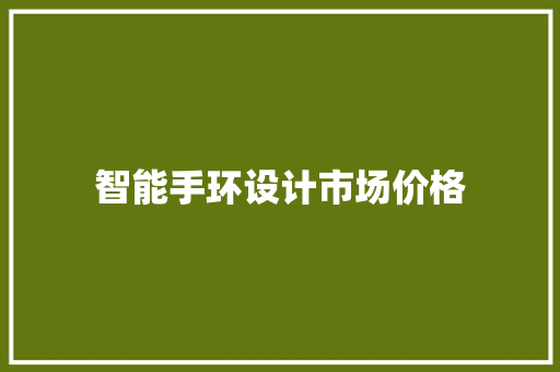 智能手环设计市场价格