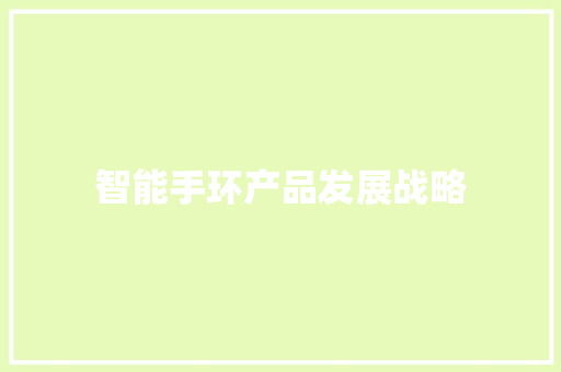 智能手环产品发展战略