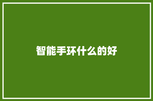 智能手环什么的好