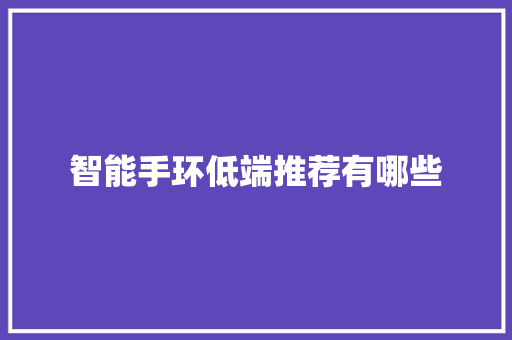 智能手环低端推荐有哪些  第1张