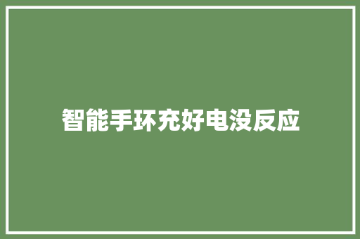 智能手环充好电没反应