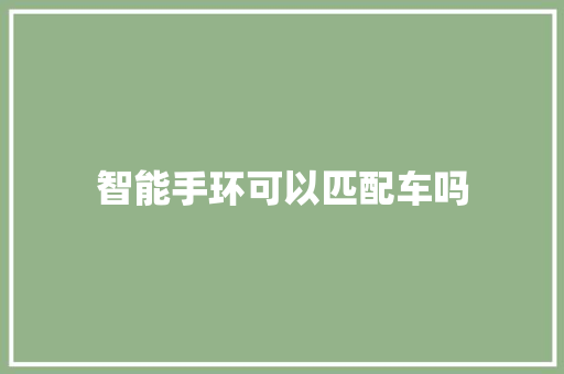 智能手环可以匹配车吗