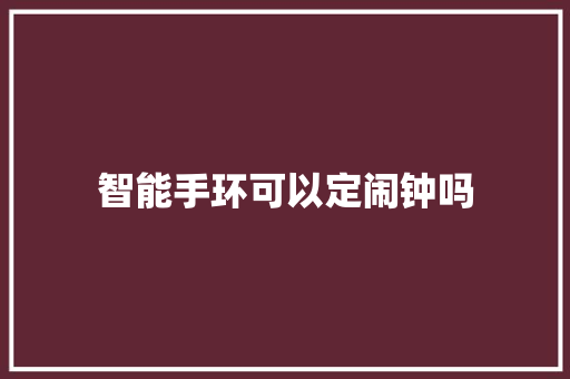 智能手环可以定闹钟吗