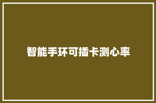 智能手环可插卡测心率