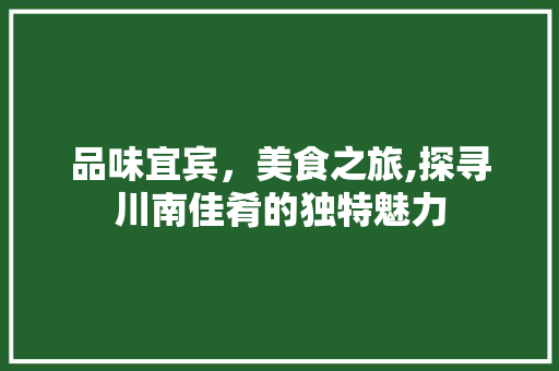 品味宜宾，美食之旅,探寻川南佳肴的独特魅力