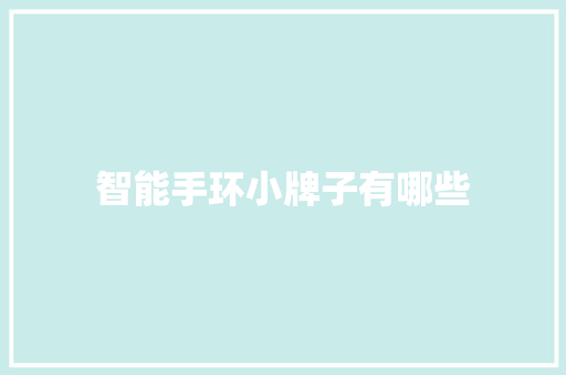 智能手环小牌子有哪些  第1张