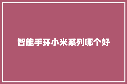 智能手环小米系列哪个好