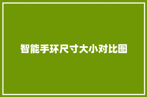 智能手环尺寸大小对比图