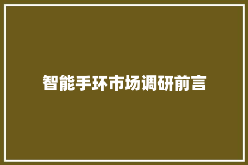 智能手环市场调研前言  第1张