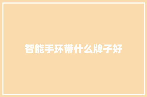 智能手环带什么牌子好