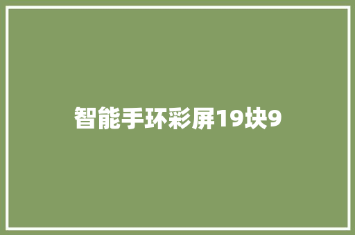 智能手环彩屏19块9