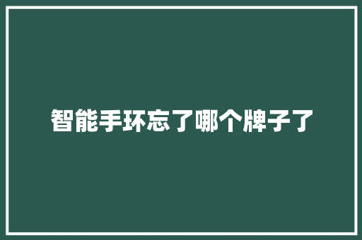 智能手环忘了哪个牌子了