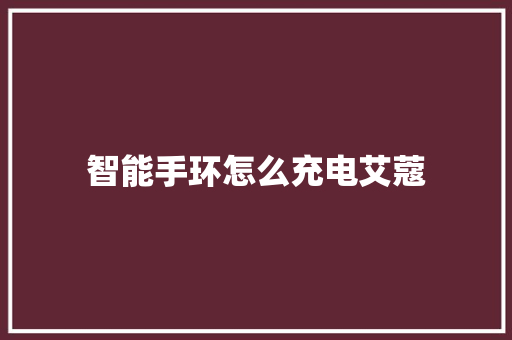 智能手环怎么充电艾蔻  第1张