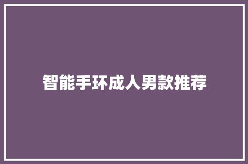 智能手环成人男款推荐