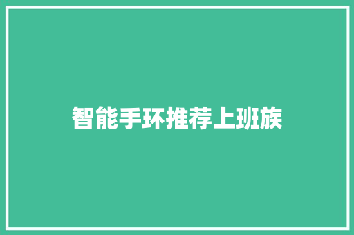 智能手环推荐上班族
