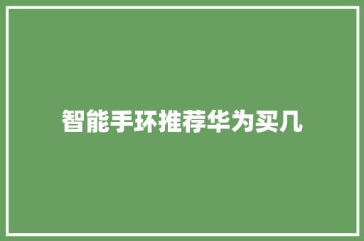 智能手环推荐华为买几