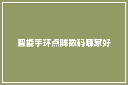智能手环点阵数码哪家好  第1张