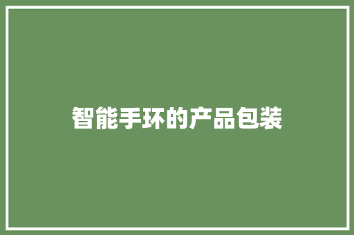 智能手环的产品包装