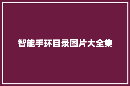 智能手环目录图片大全集  第1张