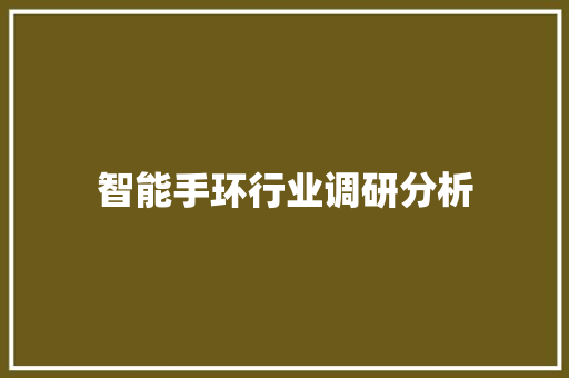 智能手环行业调研分析