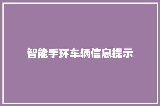 智能手环车辆信息提示  第1张
