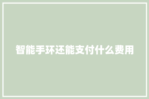 智能手环还能支付什么费用