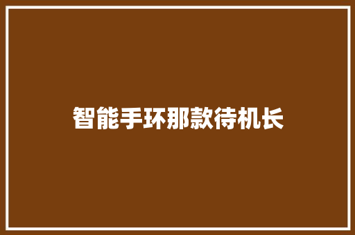 智能手环那款待机长