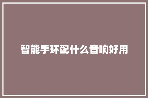 智能手环配什么音响好用  第1张