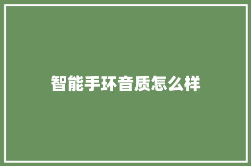 智能手环音质怎么样