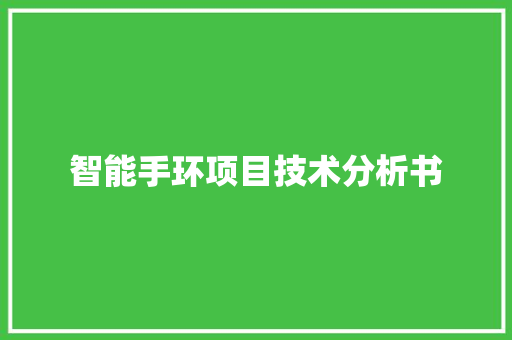 智能手环项目技术分析书