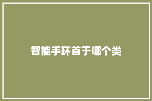 智能手环首于哪个类