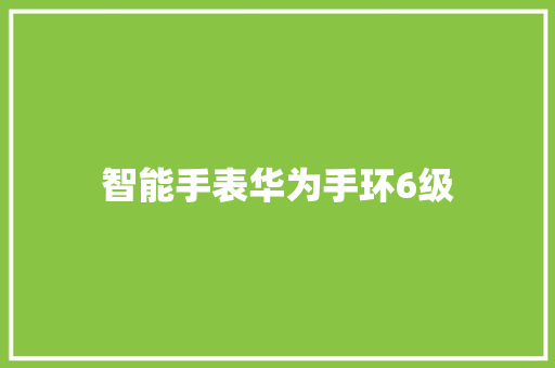 智能手表华为手环6级  第1张