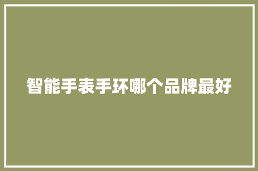 智能手表手环哪个品牌最好