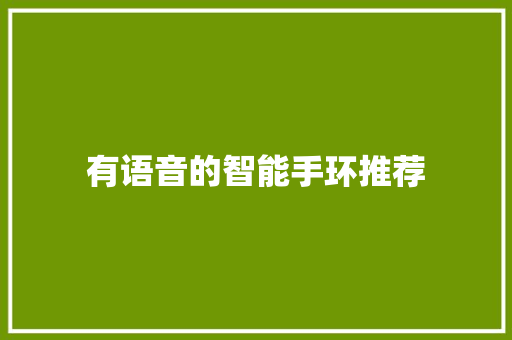 有语音的智能手环推荐