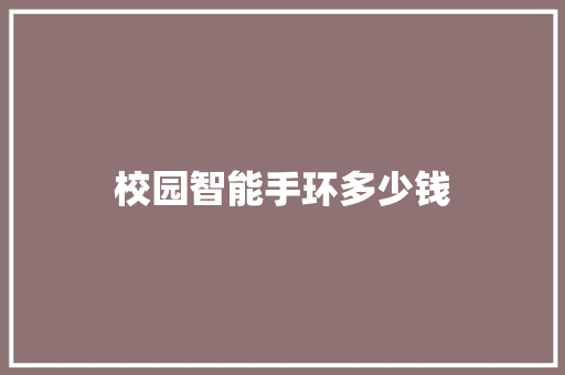 校园智能手环多少钱