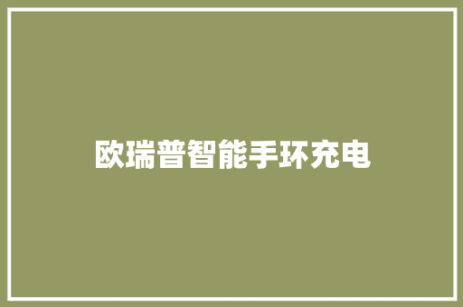 欧瑞普智能手环充电