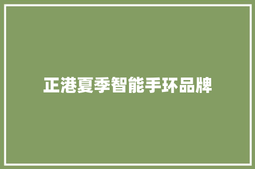 正港夏季智能手环品牌  第1张