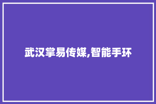 武汉掌易传媒,智能手环  第1张