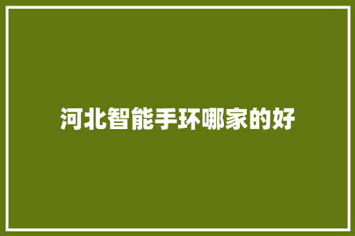 河北智能手环哪家的好  第1张